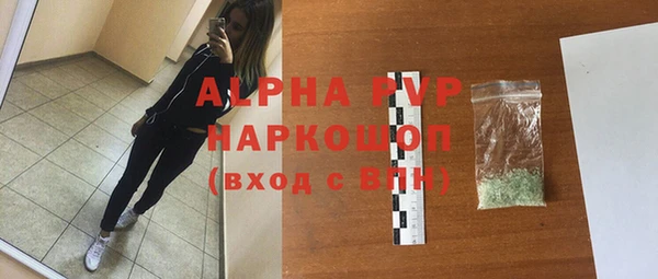 индика Каменка