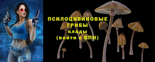 герыч Касимов