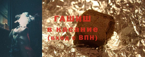 индика Каменка